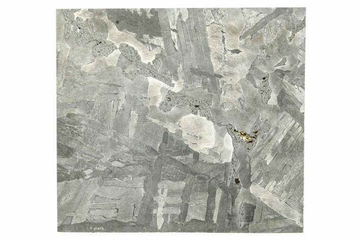 Etched Seymchan Meteorite Slice ( g) - Russia #265012